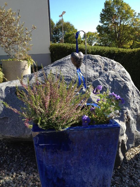 Aurora Bed & Breakfast Simrishamn Buitenkant foto