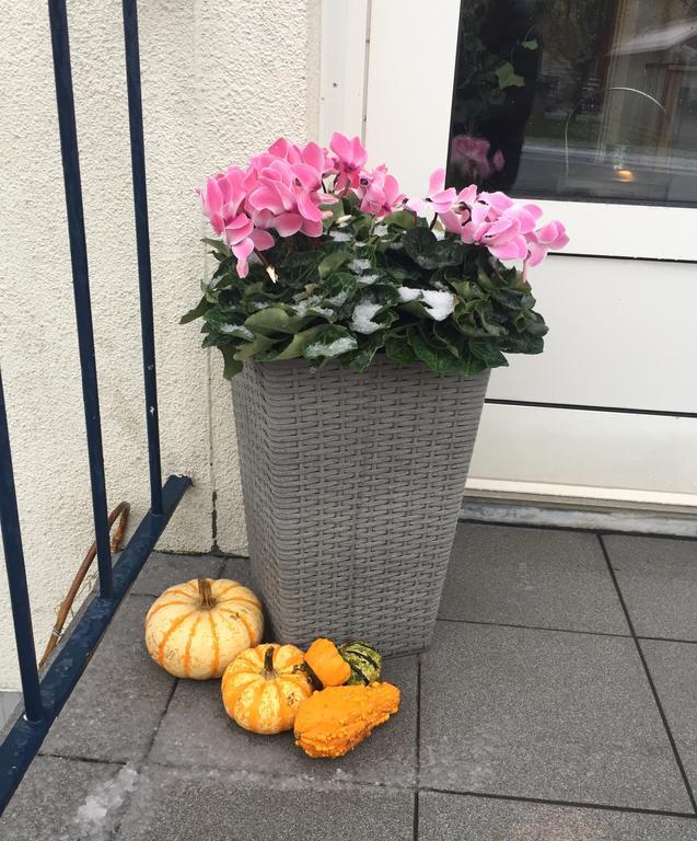 Aurora Bed & Breakfast Simrishamn Buitenkant foto